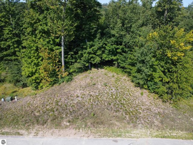 Land for sale in Michigan