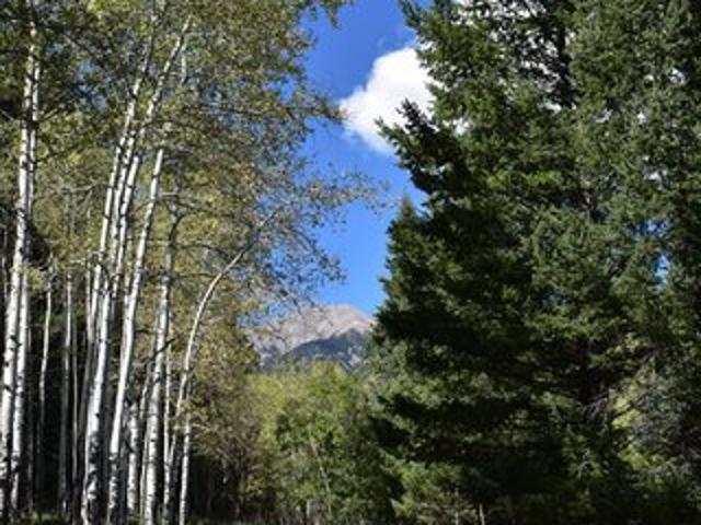 Land for sale in Aguilar, Las Animas County