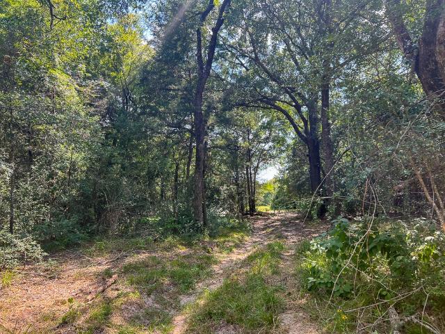 Land for sale in Grimes, Texas