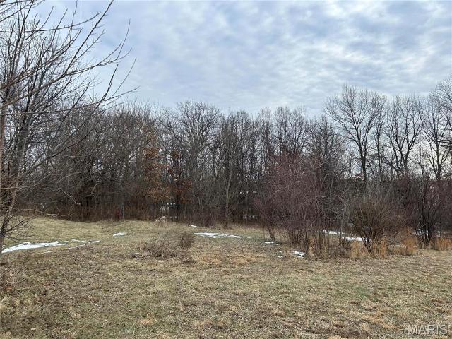 Land for sale in Clinton, Illinois