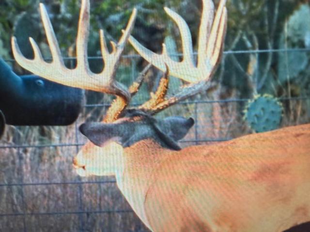 Commercial for sale in Falls City, Karnes County