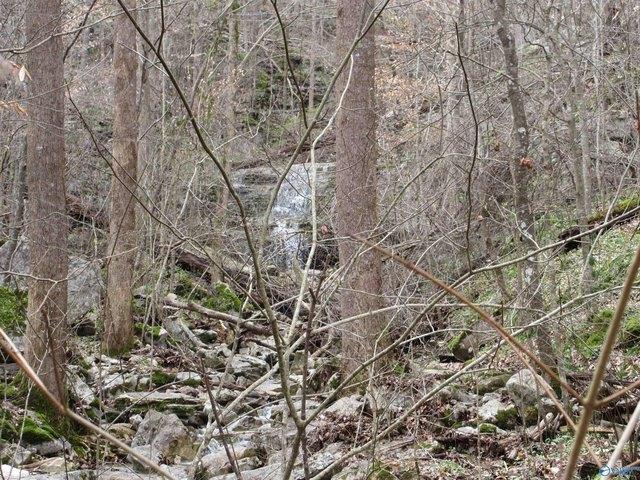 Land for sale in Fackler, Alabama