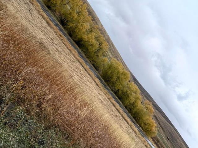 Land for sale in Craigmont, Idaho