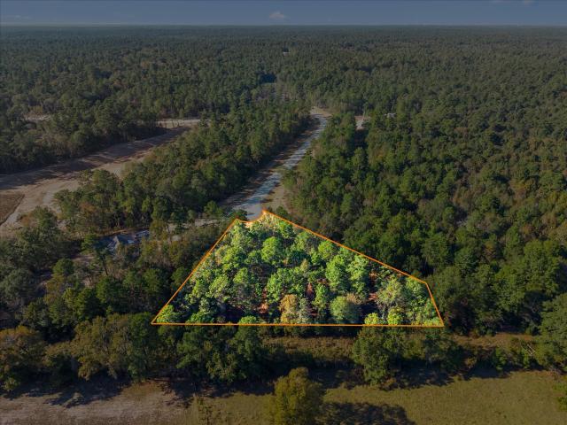 Land for sale in Walker, Texas