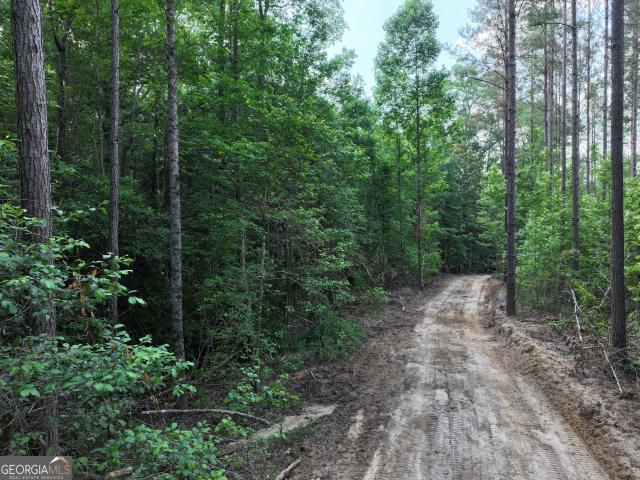 Land for sale in Lumpkin, Stewart County
