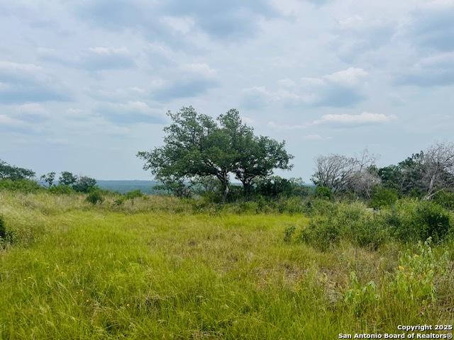 Land for sale in Hondo