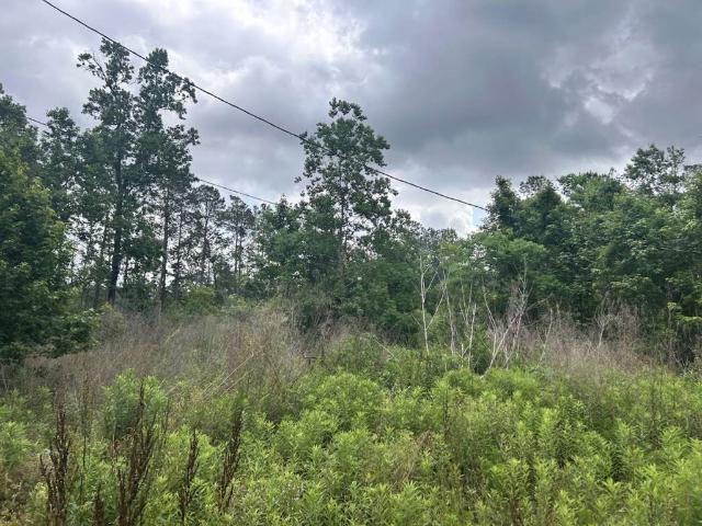 Land for sale in Vidor, Texas