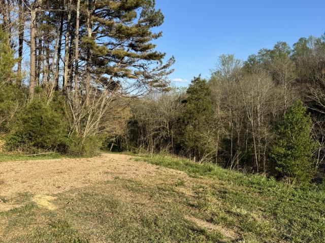 Land for sale in Tennessee