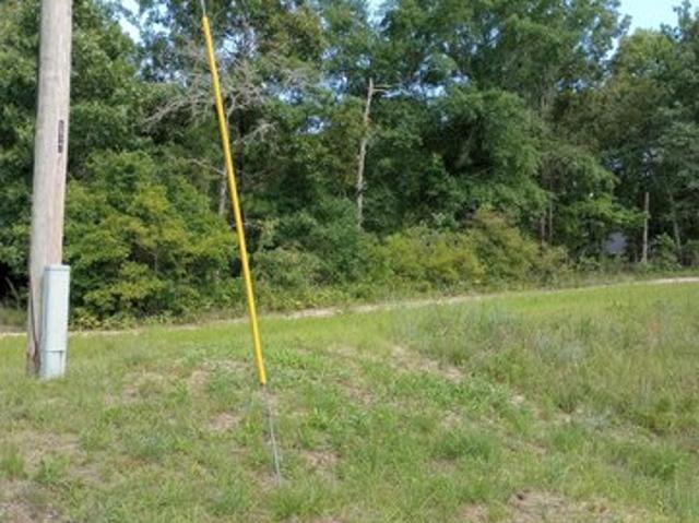 Land for sale in Seale, Alabama