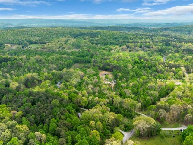 Commercial for sale in Tennessee