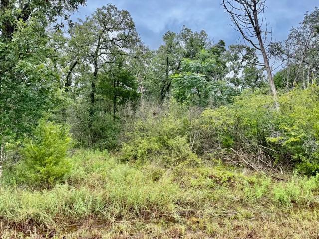 Land for sale in Round Top, Texas