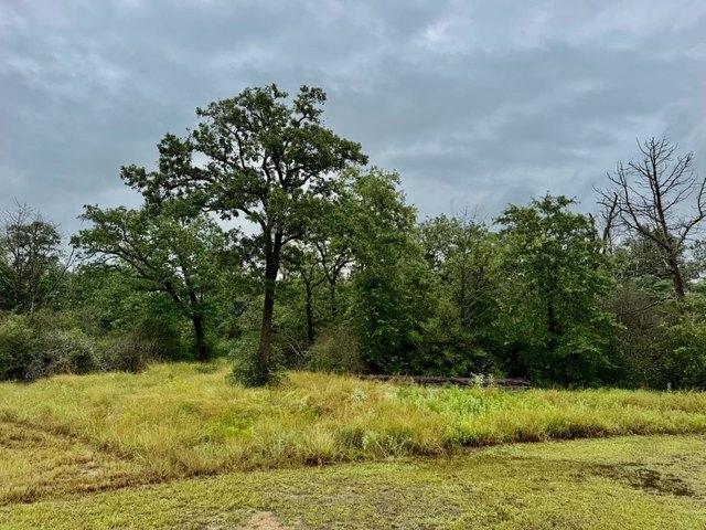 Land for sale in Round Top, Texas
