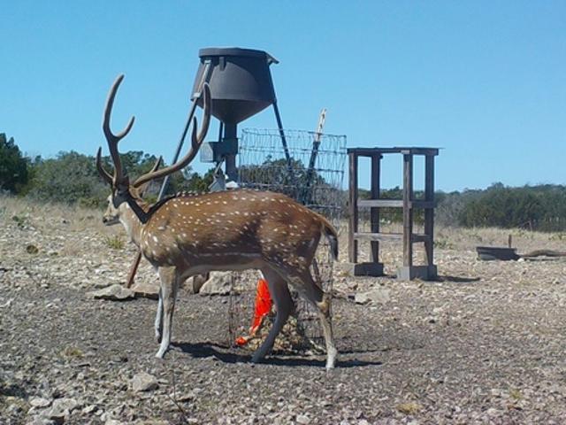 Farm for sale in Edwards, Texas