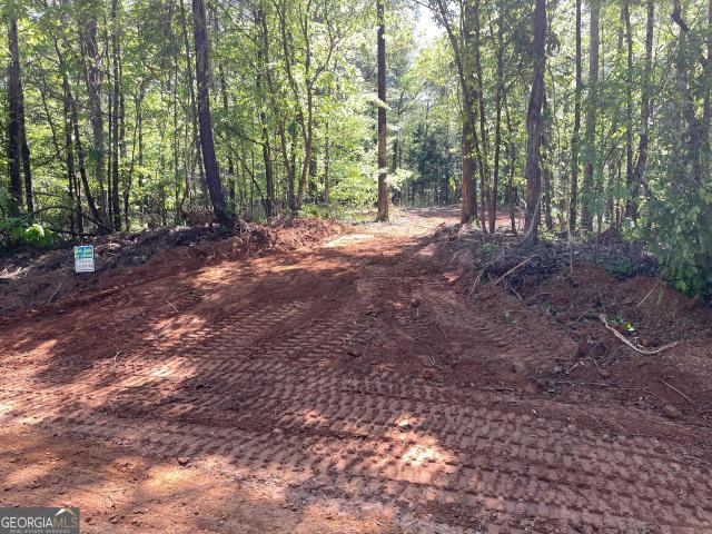 Land for sale in Crawfordville, Georgia