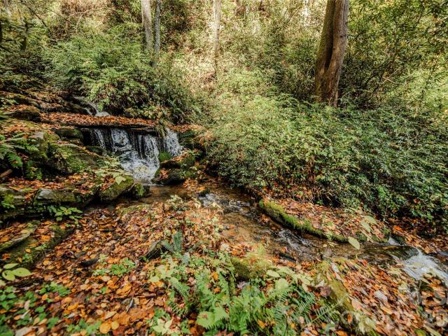 Commercial for sale in Transylvania, North Carolina