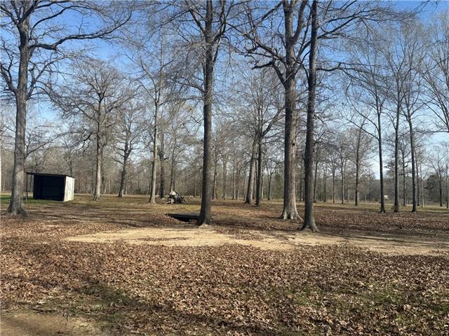 Land for sale in Louisiana