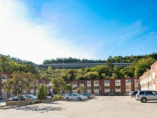 Apartment for rent in Hamilton
