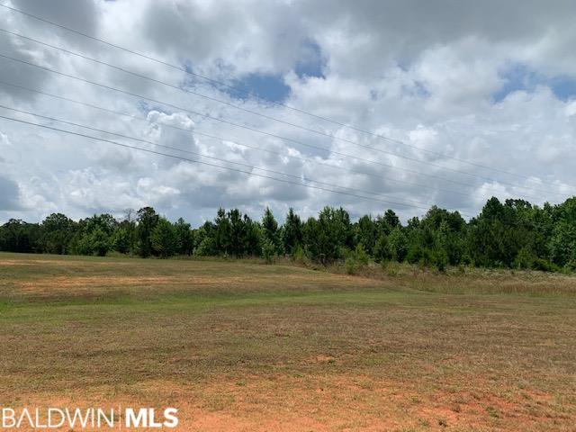 Land for sale in Grove Hill, Alabama