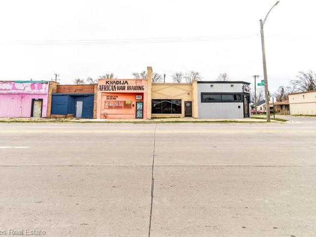 Commercial for sale in Sloan's Park Drive, Detroit