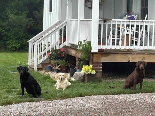 House for sale in Virginia
