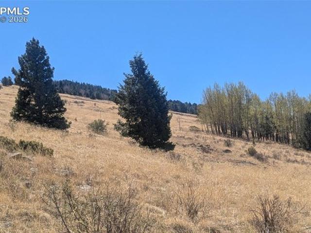 Land for sale in Teller, Colorado