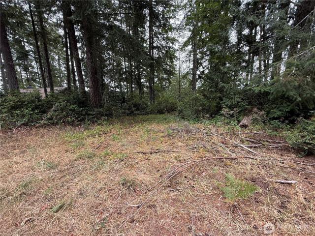 Land for sale in Belfair