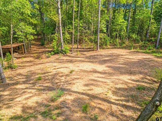 Land for sale in Troup, Smith County