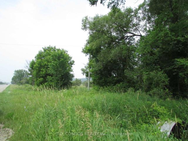 Land for sale in Woburn, Ontario