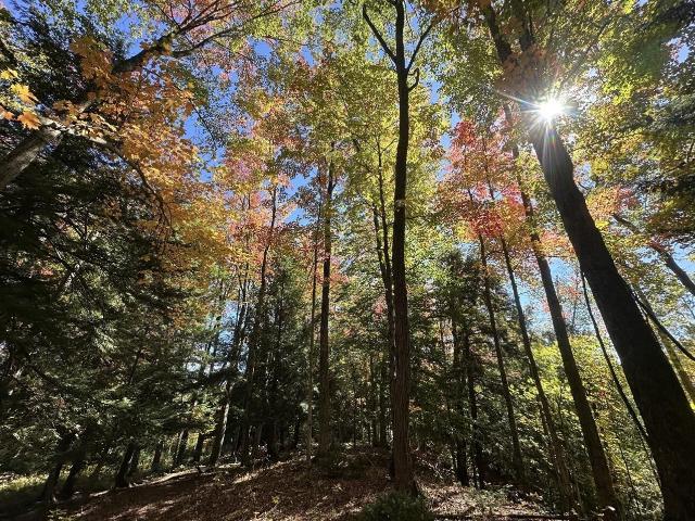 Land for sale in Pisgah Heights, Highland Township