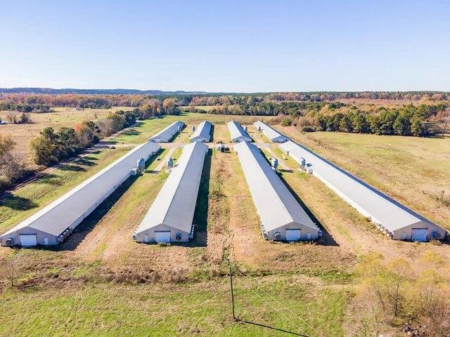Farm for sale in San Augustine, Texas
