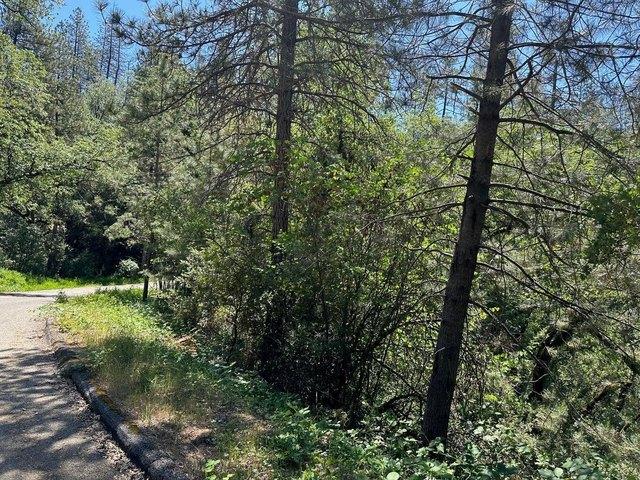 Land for sale in Shasta, California