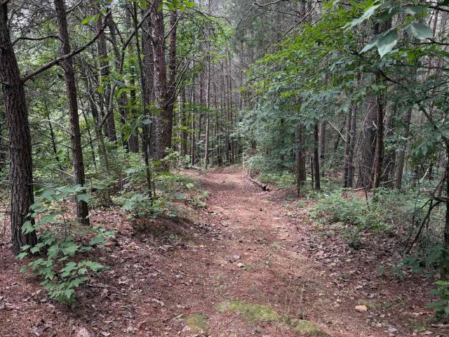 Land for sale in Collinsville, Alabama