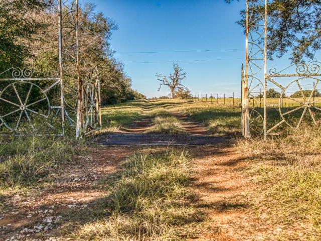 Farm for sale in Oakwood, Texas