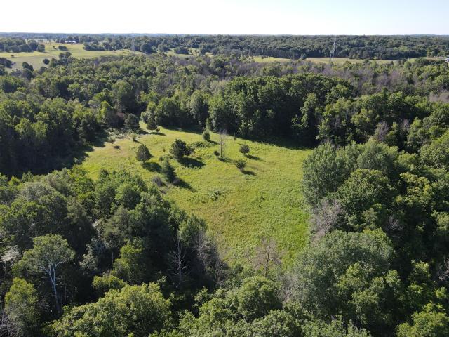 Land for sale in Forest Lake, Minnesota