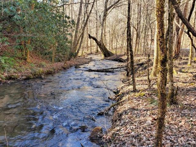 Land for sale in Tennessee