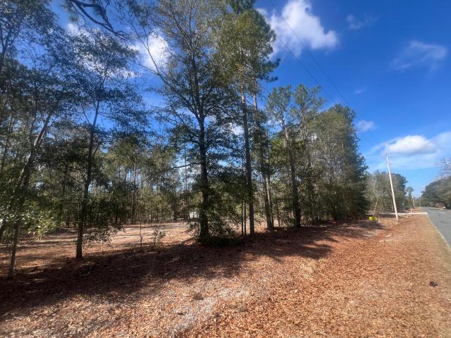 Land for sale in Walterboro, South Carolina
