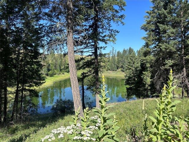 Land for sale in Bigfork