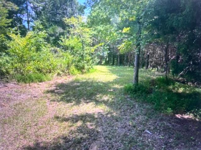 Land for sale in Stanton, West Tennessee