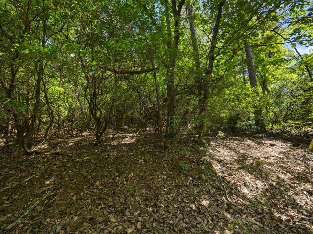 Land for sale in Georgia