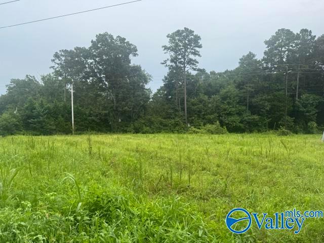 House for sale in Stevenson, Alabama