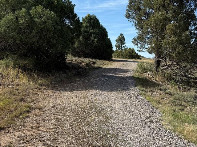 Land for sale in Chama, New Mexico