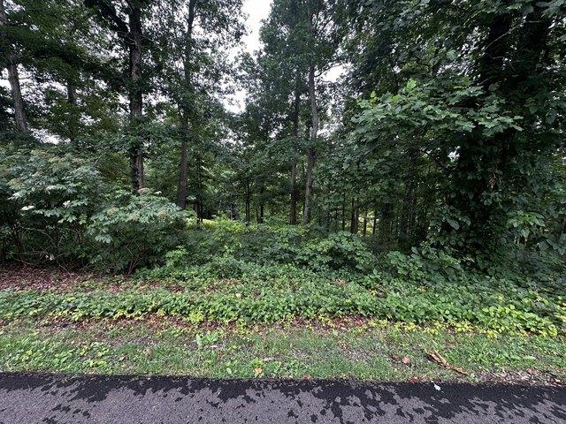 Land for sale in Tennessee