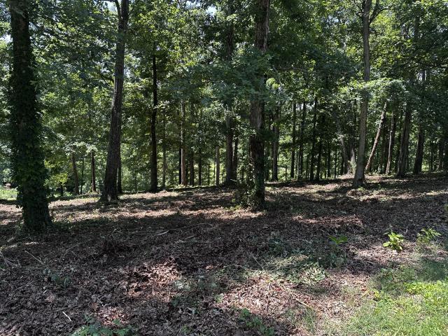 Land for sale in Tennessee