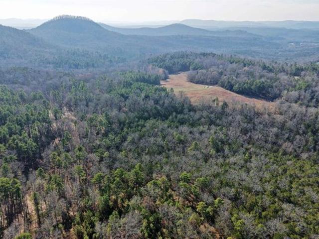 Land for sale in Ark