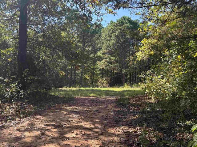 Land for sale in Calico Rock, Izard County