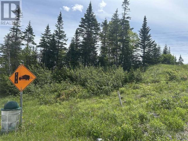 Land for sale in Massey Drive, Newfoundland And Labrador