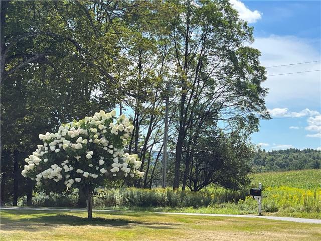 House for sale in Maryland, New York