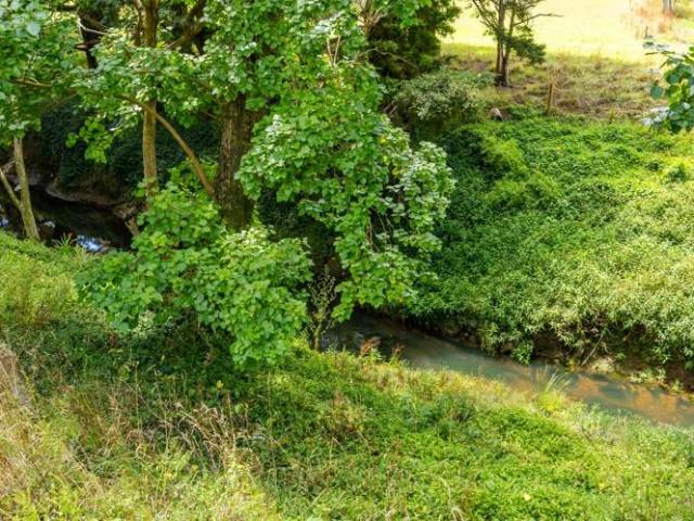 Property for sale in Wellsford