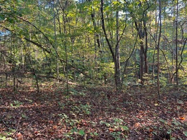 Land for sale in Tennessee