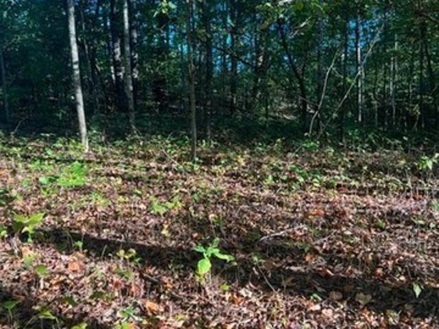 Land for sale in Tennessee